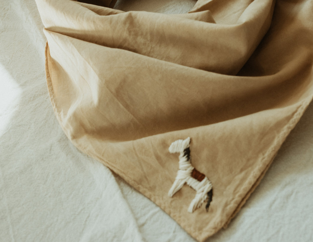 a little horse  -  Hand embroidered bandana